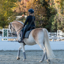 Load image into Gallery viewer, PR Equiformance Posture Sling - Functional Rider Performance Training KIt