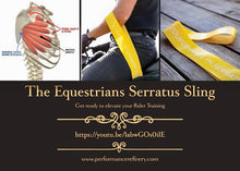 Load image into Gallery viewer, PR Serratus Sling