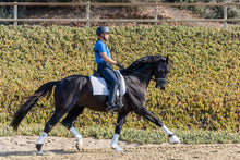 Load image into Gallery viewer, PR Align + Posture Brace