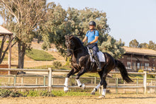 Load image into Gallery viewer, PR Align + Posture Brace